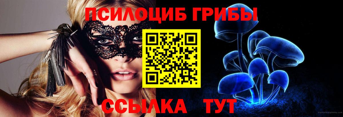 Галлюциногенные грибы Cubensis Углич